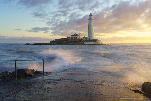 St Marys Lighthouse Sunrise  Picture Board by Anthony McGeever