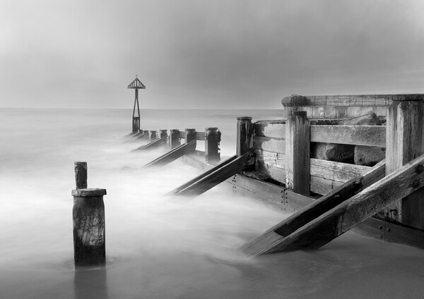 Seaton Groynes B&W  Picture Board by Anthony McGeever