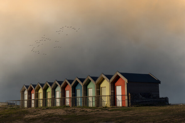 Blyth Beach Huts  Picture Board by Anthony McGeever