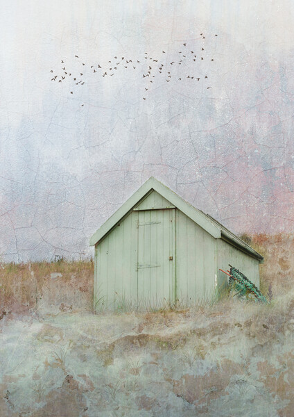 The Lone Beach Hut  Picture Board by Anthony McGeever