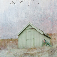 Buy canvas prints of The Lone Beach Hut  by Anthony McGeever
