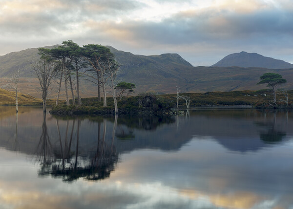 Reflections on Loch Assynt Picture Board by Anthony McGeever