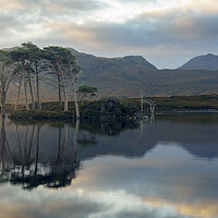 Buy canvas prints of Reflections on Loch Assynt by Anthony McGeever