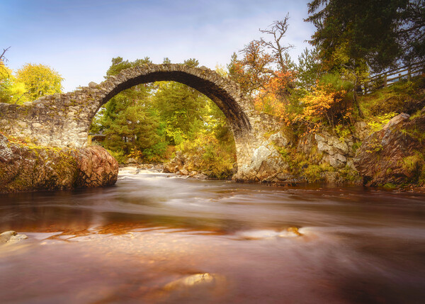 Carrbridge Packhorse Bridge  Picture Board by Anthony McGeever