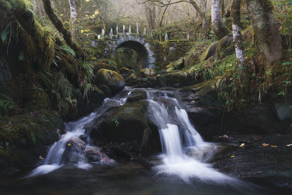 The Magical Fairy Bridge Picture Board by Anthony McGeever