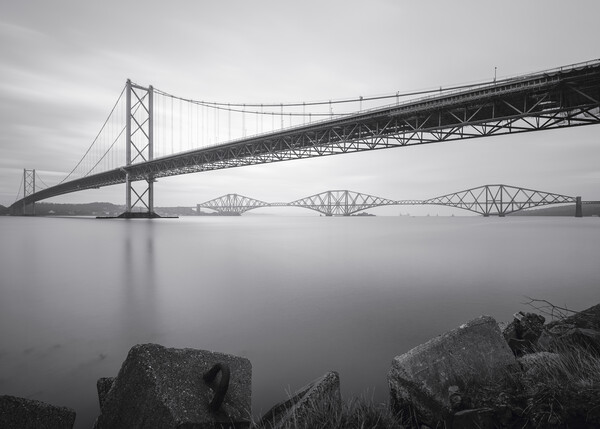 The Forth Bridges black and white Picture Board by Anthony McGeever