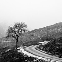 Buy canvas prints of Glen Etive Winter Tree by Anthony McGeever