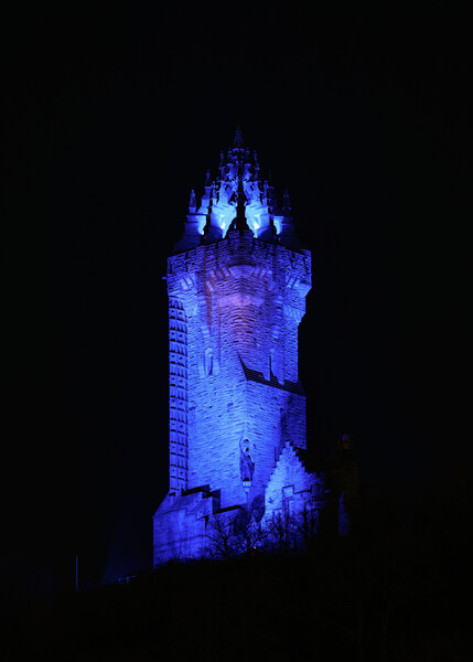 Stirling national Wallace Monument Burns night Picture Board by Anthony McGeever