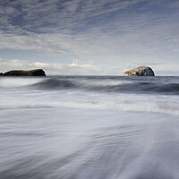 Buy canvas prints of Bass Rock seascape  by Anthony McGeever