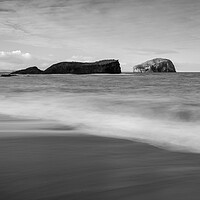 Buy canvas prints of Seacliff Beach Black and White  by Anthony McGeever