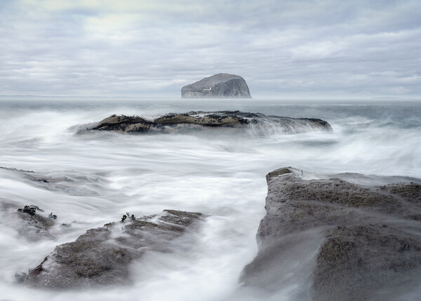 White surf and Bass Rock  Picture Board by Anthony McGeever