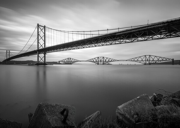 The Forth Bridges in Black and White  Picture Board by Anthony McGeever