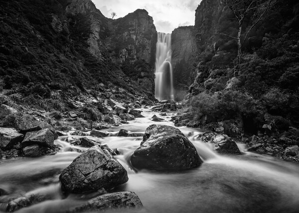 Wailing Widow Falls in black and white  Picture Board by Anthony McGeever