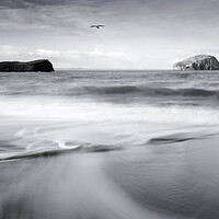 Buy canvas prints of Seacliff Beach and Bass Rock  by Anthony McGeever