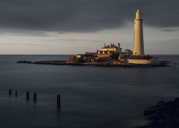 St Marys Lighthouse  Picture Board by Anthony McGeever