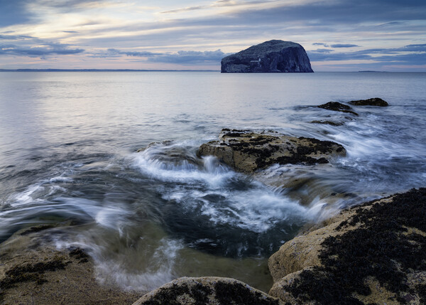Bass Rock Seascape  Picture Board by Anthony McGeever