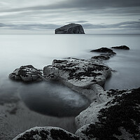 Buy canvas prints of Bass Rock and the Cauldron  by Anthony McGeever