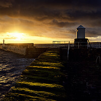 Buy canvas prints of Pittenweem Harbour Sunset by Anthony McGeever
