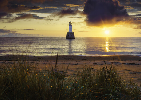 Dawn's Embrace at Rattray Lighthouse Picture Board by Anthony McGeever