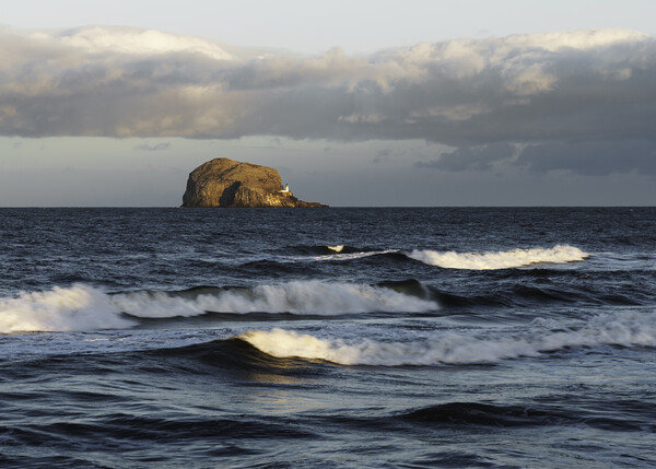 Bass Rock from North Berwick  Picture Board by Anthony McGeever