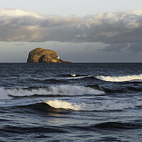Buy canvas prints of Bass Rock from North Berwick  by Anthony McGeever