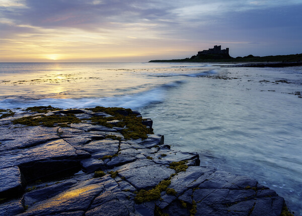 Wonderful Bamburgh  Picture Board by Anthony McGeever