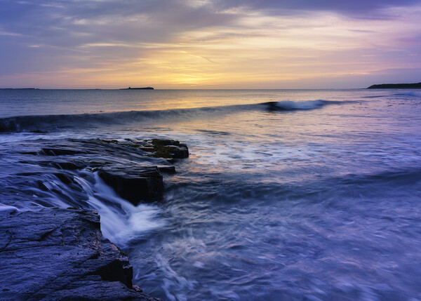 Farne Islands Seascape  Picture Board by Anthony McGeever