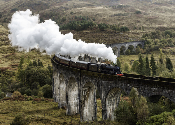 The Jacobite passing through Glenfinnan  Picture Board by Anthony McGeever
