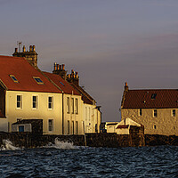 Buy canvas prints of Golden Light On Pittenweem by Anthony McGeever