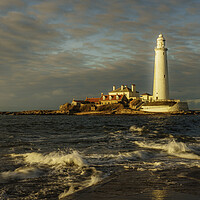 Buy canvas prints of St Marys Lighthouse Sunset  by Anthony McGeever