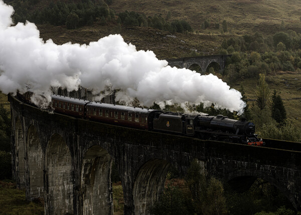 The Jacobite Crossing Glenfinnan Viaduct Picture Board by Anthony McGeever