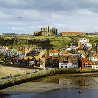 Buy canvas prints of Whitby Panorama  by Anthony McGeever