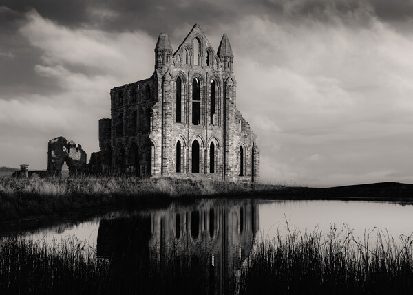 Whitby Abbey Black and White  Picture Board by Anthony McGeever