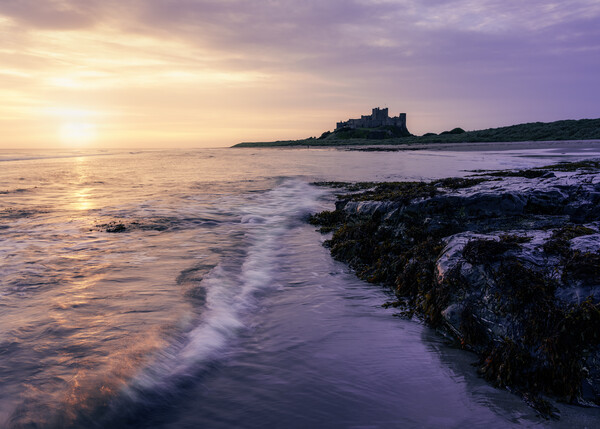 Bamburgh Castle Sunrise  Picture Board by Anthony McGeever