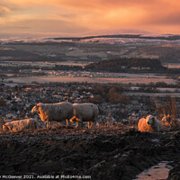 Buy canvas prints of Sunrise over Stirling  by Anthony McGeever