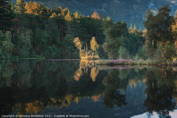 Autumn Lochan  Picture Board by Anthony McGeever