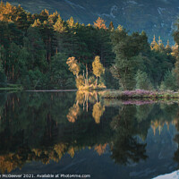 Buy canvas prints of Autumn Lochan  by Anthony McGeever
