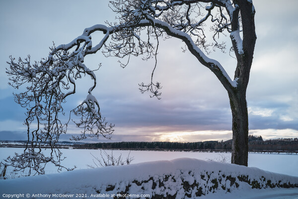 A Winter Sunset Picture Board by Anthony McGeever