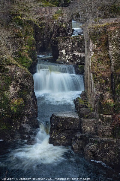 Bracklinn Falls Callander Scotland  Picture Board by Anthony McGeever