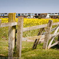 Buy canvas prints of Old fence and Rape Seed fields to the beach huts at Sandilands Lincolnshire Coast by That Foto