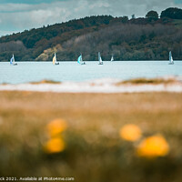 Buy canvas prints of Sail boats at Carsington Waters in the Peak District by That Foto