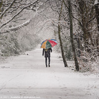 Buy canvas prints of Colour Brolly in the snowy woods by That Foto