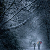Buy canvas prints of Sunday Winter Snow day walk with umbrella by That Foto