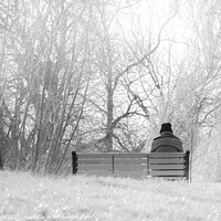 Buy canvas prints of Man on a Bench in the park in Black and White by That Foto