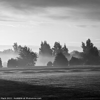 Buy canvas prints of Doncaster Racecourse Autumn early morning on a misty day by That Foto