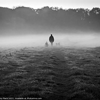 Buy canvas prints of The Dog Walk on a misty morning by That Foto