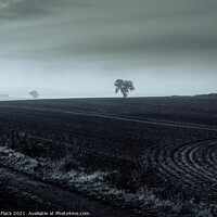 Buy canvas prints of Ploughed fields and Misty views, Lincolnshire in Monochrome by That Foto