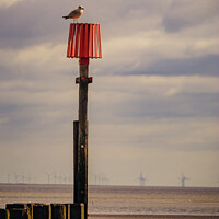 Buy canvas prints of Cleethorpes Beach tide marker by That Foto