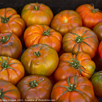 Buy canvas prints of tomatoes by MallorcaScape Images
