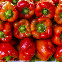 Buy canvas prints of bell pepper by MallorcaScape Images